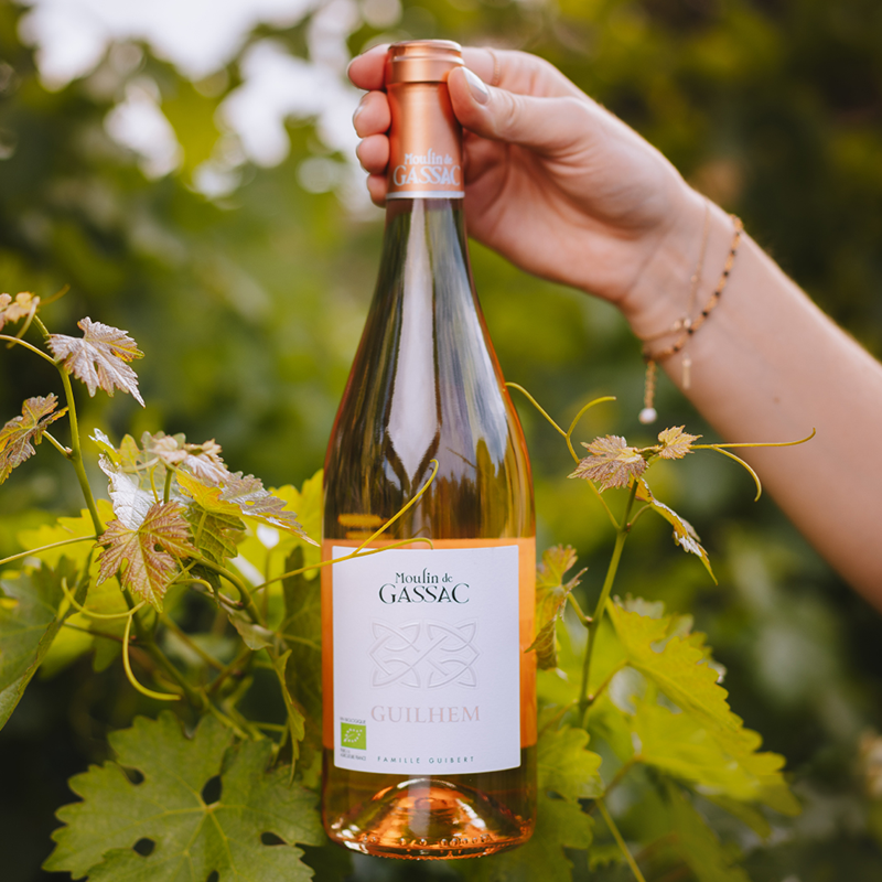 Magnum Guilhem Rosé