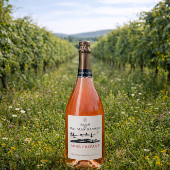 Magnum Rosé Frizant