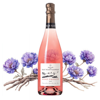 Rosé Frizant
