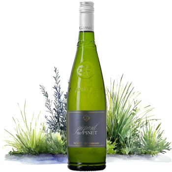 Picpoul de Pinet