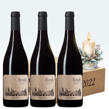 Syrah 2022 - IGP Saint-Guilhem-le-Désert | Atelier Guibert