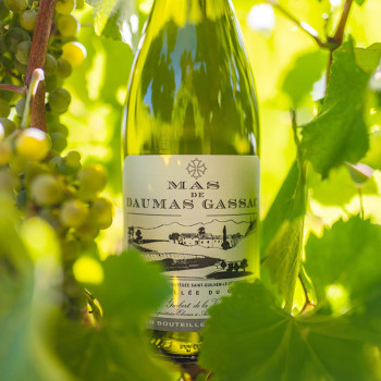 Mas de Daumas Gassac Blanc | Grand Vin de Garde - Languedoc