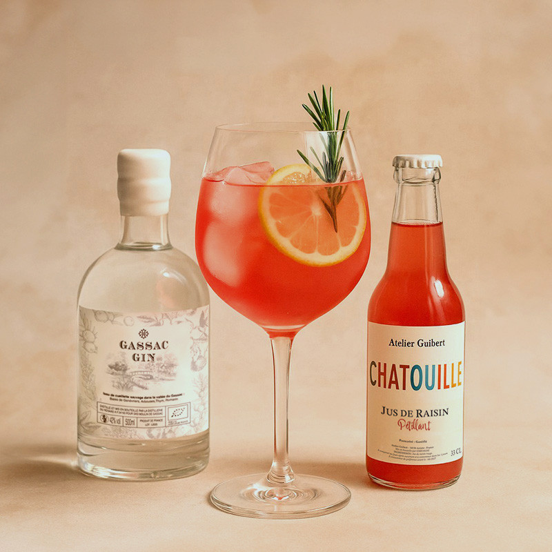 Coffret Gin Bio Mas de Daumas Gassac | Cadeau Apéritif Noël