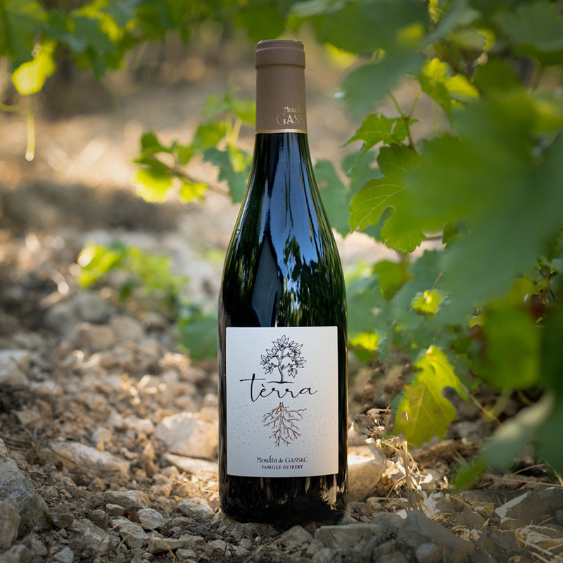 Coffret Tèrra Moulin de Gassac Bio | Rouge & Blanc de Noël