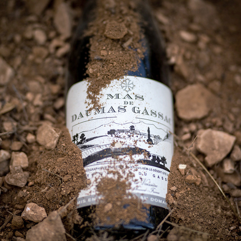 Mas de Daumas Gassac Rouge | Vin de Garde - Languedoc
